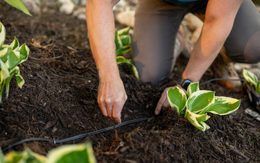 How to Bury Low-Voltage Wire Correctly: Depth, Path and Protection