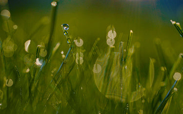 Understanding Residential Stormwater Management