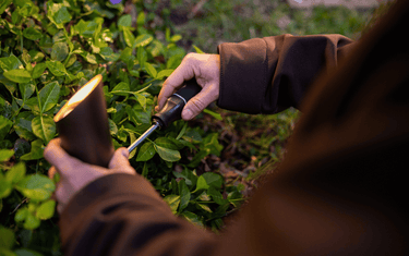 Landscape Lighting Installation Tools: What You Need Before You Start