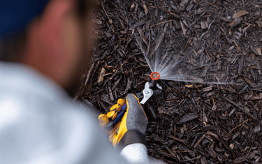Pressure-Regulating Spray Heads: How They Work and How Much Water They Save