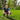 How to Replace a Landscape Lighting Bulb Without Damaging the Socket
