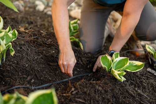 How to Bury Low-Voltage Wire Correctly: Depth, Path and Protection