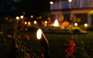 Landscape Lighting: Year-Round Value for Outdoor Spaces