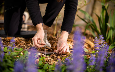 How to Install a Drip Line Under Mulch Without Crushing the Tubing