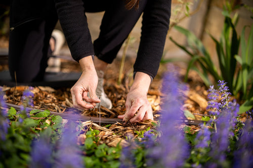 How to Install a Drip Line Under Mulch Without Crushing the Tubing