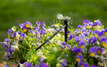 Smart Irrigation Controllers: Why the Upgrade Makes Sense