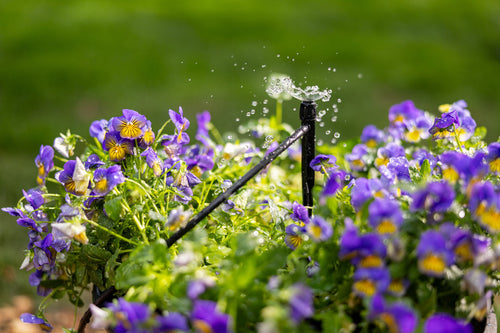 Smart Irrigation Controllers: Why the Upgrade Makes Sense
