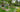 Seven Principles of Xeriscaping