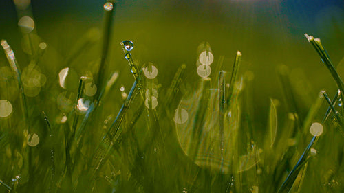 Understanding Residential Stormwater Management
