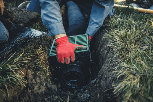 Landscape Erosion Control: Drainage Products and Plants That Hold Soil