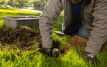 High-Efficiency Spray Heads: Pressure Regulators, Flow Restrictors & Check Valves