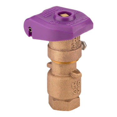 Hunter Quick Coupling Valve