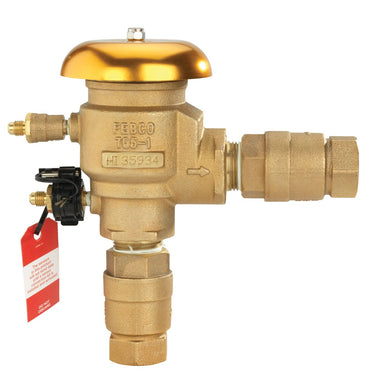 Watts 800M4 Anti-Siphon Pressure Vacuum Breaker w/ Ball Valves