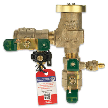 FEBCO 765 Pressure Vacuum Breaker w/ Ball Valves
