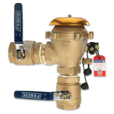 FEBCO 765 Pressure Vacuum Breaker w/ Ball Valves